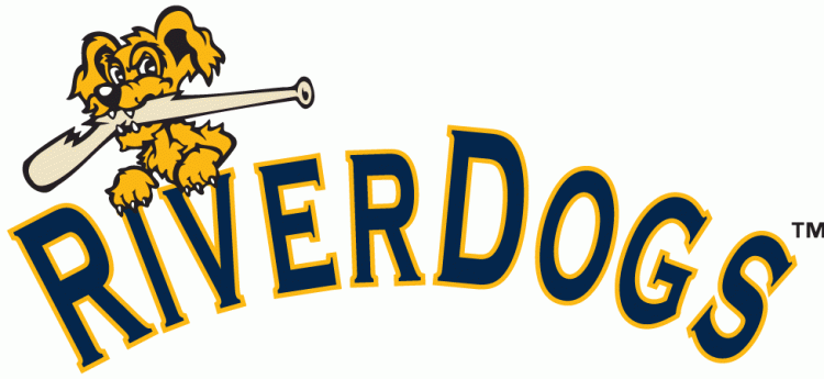 Charleston Riverdogs 2011-2015 Wordmark Logo iron on transfers for clothing